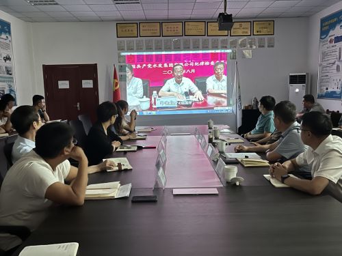 【河海水文】水發(fā)水控集團黨委委員、紀委書記王高升到河海公司全面從嚴治黨、黨風廉政建設(shè)專題調(diào)研 (1).jpg